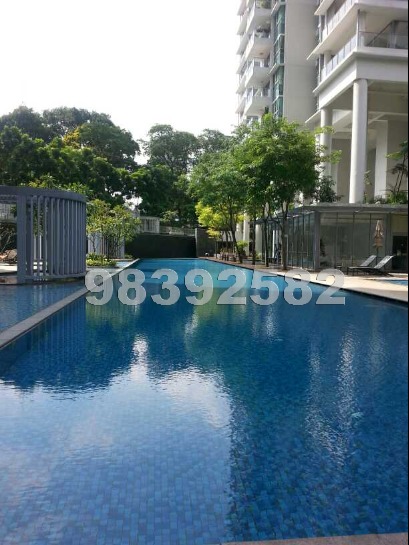 Pavilion 11 (D11), Condominium #607992